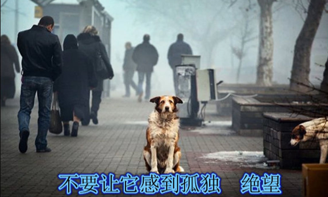 菏泽菏泽爱影圈微博微信转发案例